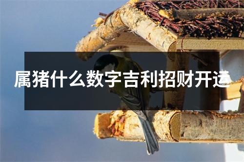 属猪什么数字吉利招财开运