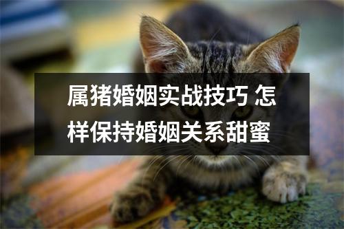 属猪婚姻实战技巧怎样保持婚姻关系甜蜜