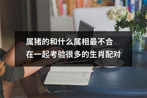 属猪的和什么属相不合在一起考验很多的生肖配对
