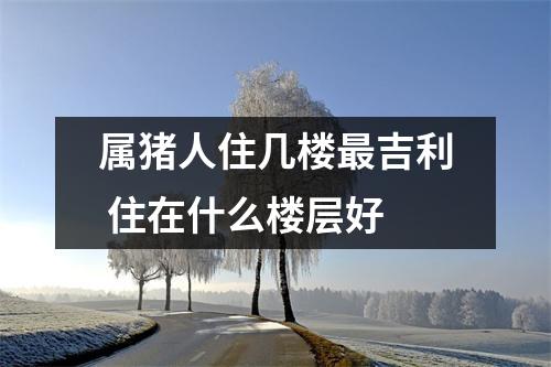 属猪人住几楼吉利住在什么楼层好