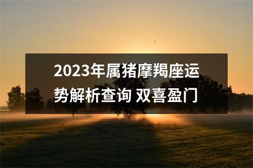 2025年属猪摩羯座运势解析查询双喜盈门