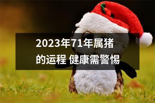 2025年71年属猪的运程健康需警惕