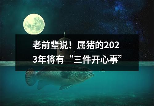 老前辈说！属猪的2025年将有“三件开心事”