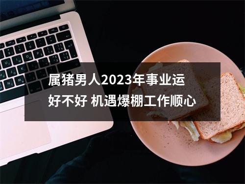 属猪男人2025年事业运好不好机遇爆棚工作顺心