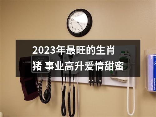 2025年旺的生肖猪事业高升爱情甜蜜