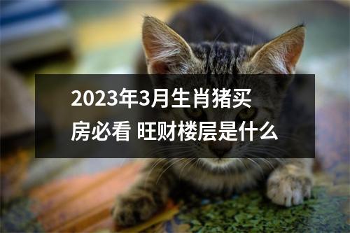 2025年3月生肖猪买房必看旺财楼层是什么