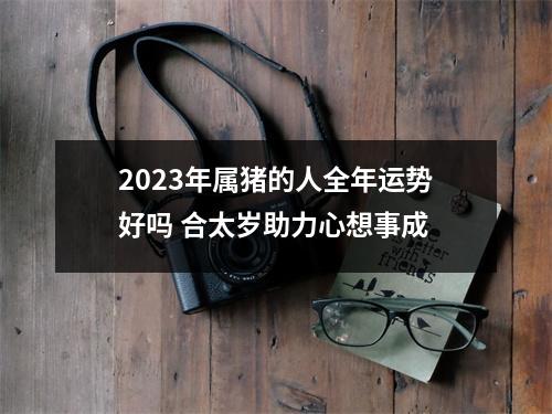 2025年属猪的人全年运势好吗合太岁助力心想事成