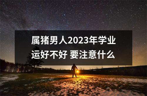 属猪男人2025年学业运好不好要注意什么