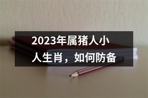 2025年属猪人小人生肖，如何防备