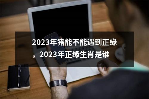 2025年猪能不能遇到正缘，2025年正缘生肖是谁
