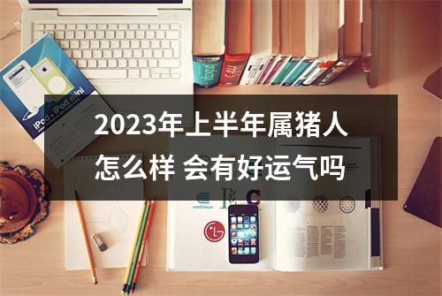 2025年上半年属猪人怎么样会有好运气吗