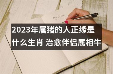 <h3>2025年属猪的人正缘是什么生肖 治愈伴侣属相牛