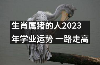 生肖属猪的人2025年学业运势 一路走高