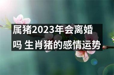 属猪2025年会离婚吗 生肖猪的感情运势