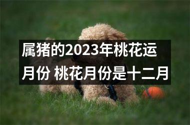 属猪的2025年桃花运月份 桃花月份是十二月