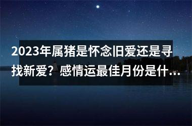2025年属猪是怀念旧爱还是寻找新爱？感情运佳月份是什么时候