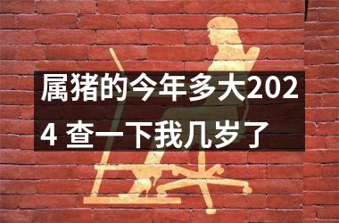 属猪的今年多大2024 查一下我几岁了
