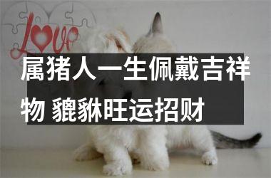 属猪人一生佩戴吉祥物 貔貅旺运招财