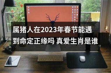 属猪人在2025年春节能遇到命定正缘吗 真爱生肖是谁