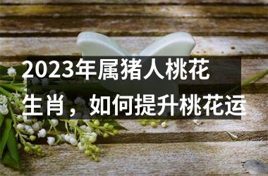 2025年属猪人桃花生肖，如何提升桃花运