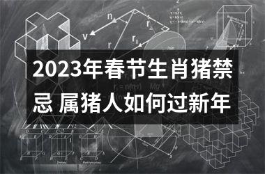 2025年春节生肖猪禁忌 属猪人如何过新年