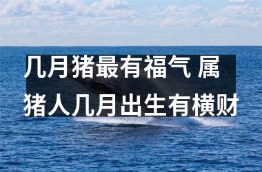 几月猪有福气 属猪人几月出生有横财