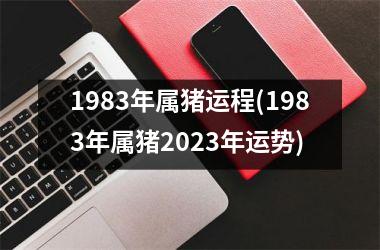 1983年属猪运程(1983年属猪2025年运势)