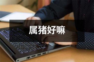 属猪好嘛