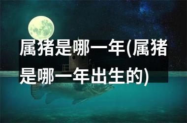 属猪是哪一年(属猪是哪一年出生的)
