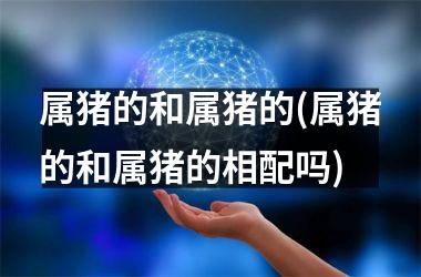 <h3>属猪的和属猪的(属猪的和属猪的相配吗)
