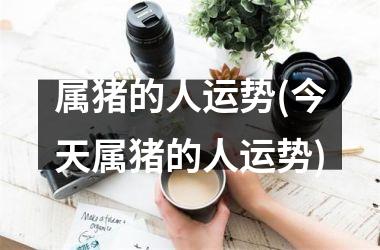 属猪的人运势(今天属猪的人运势)