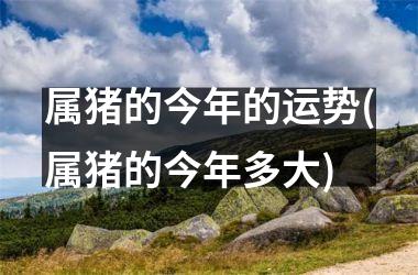 属猪的今年的运势(属猪的今年多大)