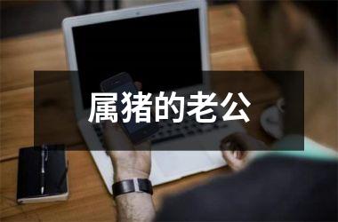 属猪的老公