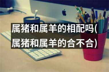 属猪和属羊的相配吗(属猪和属羊的合不合)