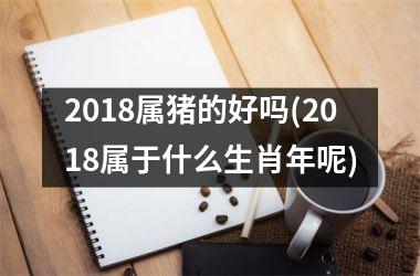 2018属猪的好吗(2018属于什么生肖年呢)