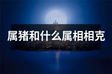 属猪和什么属相相克