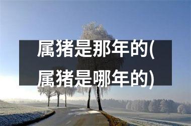 属猪是那年的(属猪是哪年的)