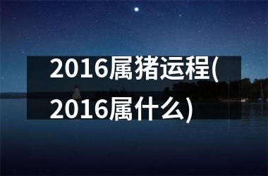 2016属猪运程(2016属什么)