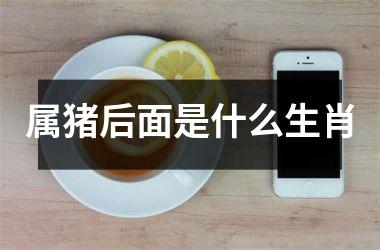 属猪后面是什么生肖
