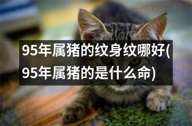 95年属猪的纹身纹哪好(95年属猪的是什么命)