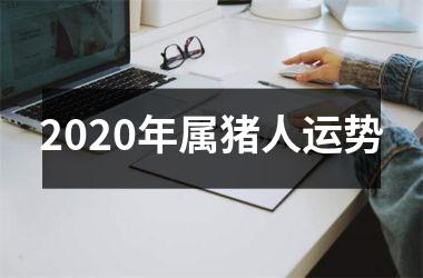 2025年属猪人运势