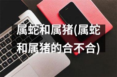 属蛇和属猪(属蛇和属猪的合不合)