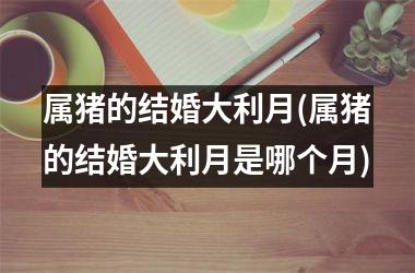<h3>属猪的结婚大利月(属猪的结婚大利月是哪个月)