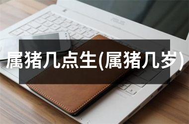 属猪几点生(属猪几岁)
