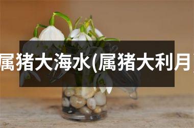 属猪大海水(属猪大利月)