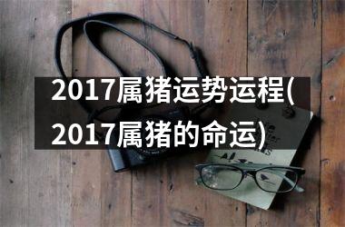 2017属猪运势运程(2017属猪的命运)