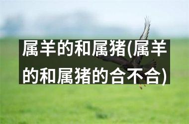 <h3>属羊的和属猪(属羊的和属猪的合不合)