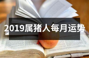 2019属猪人每月运势