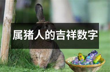 属猪人的吉祥数字