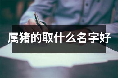 属猪的取什么名字好